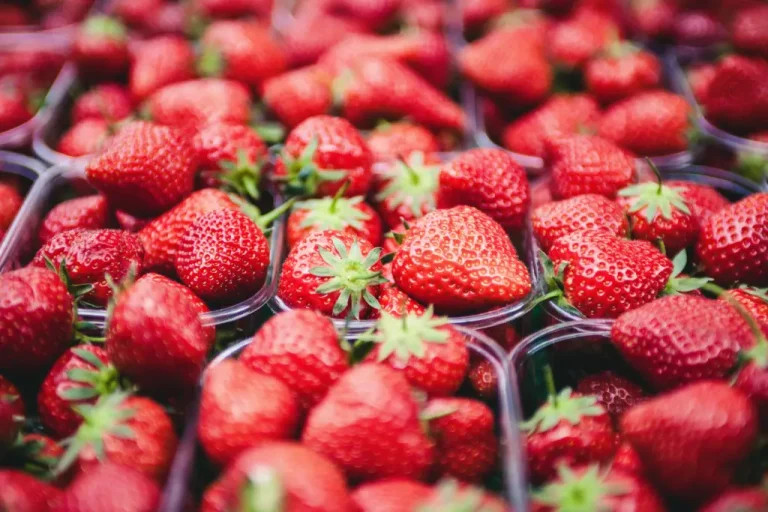 fruit veg nut testing nata accreditation scope